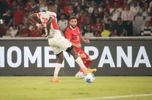 Timnas Indonesia